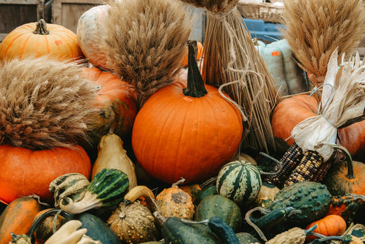 Cozy Fall Recipe: Pumpkin Chili