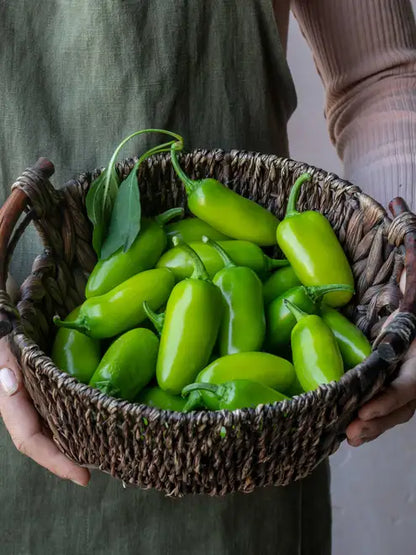 basket full of fresh jalapeno peppers